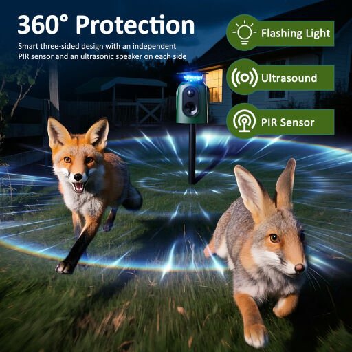 Yabani Hayvan Mücadelesi